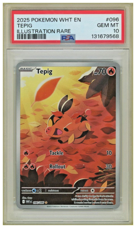 2025 Pokemon Wild Holdings Tepig Illustration Rare #096 PSA 10