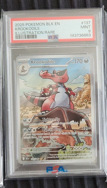 Krookodile 137/086 Sv: Black Bolt Holo