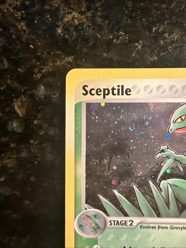 Sceptile 11/109 EX Ruby & Sapphire Holo Rare Pokemon NM gallery