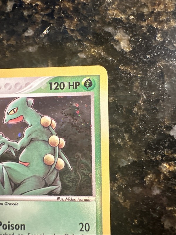 Sceptile 11/109 EX Ruby & Sapphire Holo Rare Pokemon NM gallery