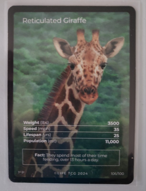 Life TCG 1st Edition 2024 Mammals Promo Giraffe Full Art 106/100