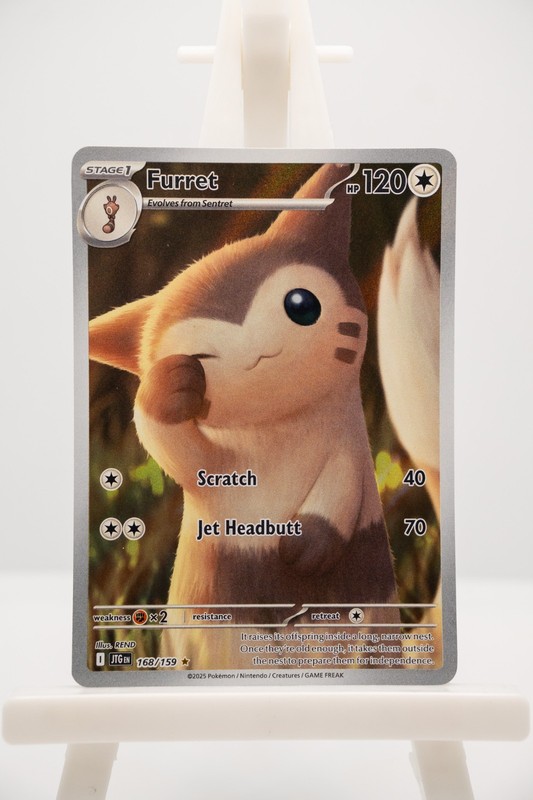 Furret 168/159 Illustration Rare Journey Together Pokemon Near Mint