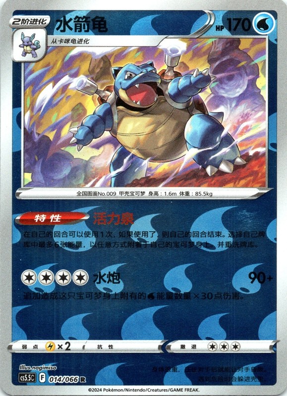 Blastoise Shadow of Glory 014/066 HOLO CHINESE NM