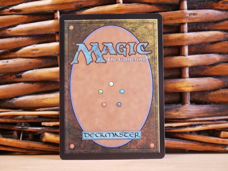 MTG Lotuslight Dancers 0363 | FOIL BORDERLESS RARE | NM Near Mint | TDM | 2025 gallery
