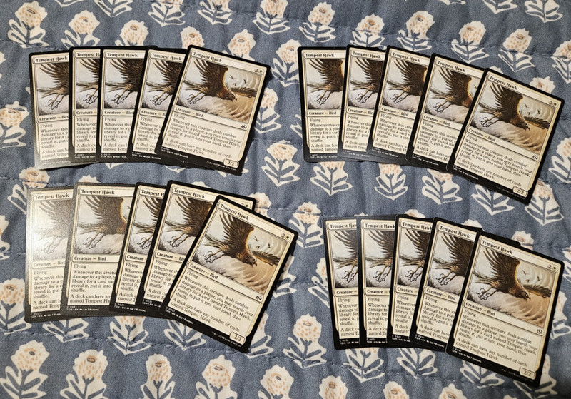 Tempest Hawkx20 (English) Tarkir Dragonstorm 20 Card Set Tempest Hawk MTG Magic