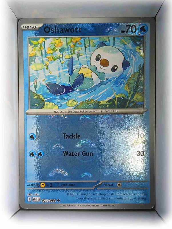 Oshawott (Poke Ball Pattern) 021/086 2025 English