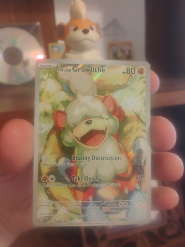 Hisuian Growlithe 181/167 Sv06: Twilight Masquerade Holo Directly into Toploader