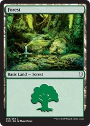 Forest (269) Dominaria Lightly Played, English