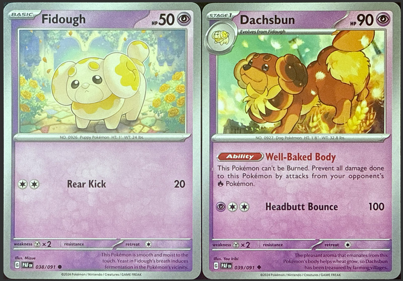 Dachsbun – 039/091 + Fidough 038/091 – Evolution Set – Paldean Fates – NM/M