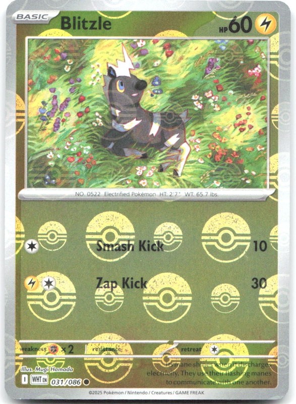 Blitzle Poke Ball Pattern Holo Common SV: White Flare 031/086 NM Mugi Hamada