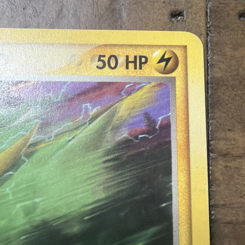 Electrike 53/109 Common Ruby & Sapphire Pokemon MP gallery