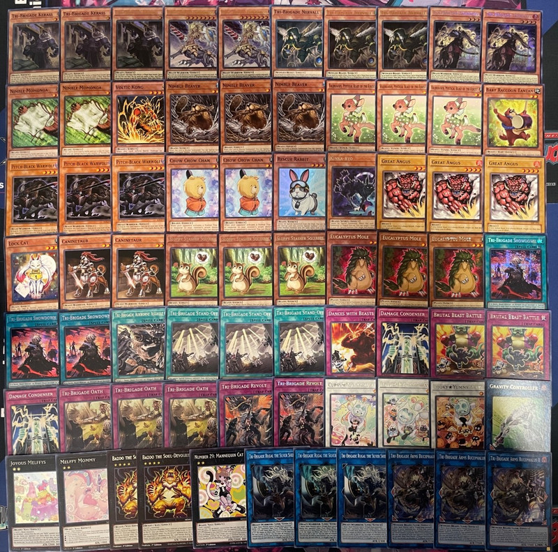 YUGIOH – TRI BRIGADE BEAST LINK DECK – ARMS BUCEPHALUS II, FRAKTALL, KERASS ~