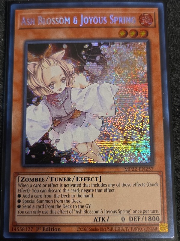 Near Mint Ash Blossom & Joyous Spring – MP22-EN257 – Prismatic Secret Rare – 1st