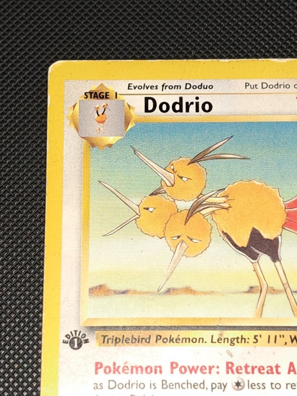 1st Edition Jungle Dodrio gallery