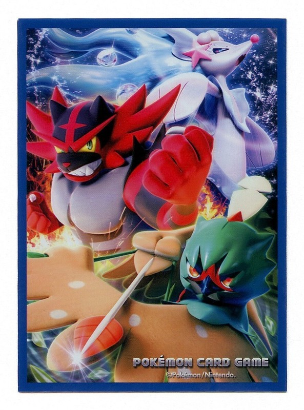 2016 Battle Partners Individual Card Sleeve Pokemon Center Japan Original gallery