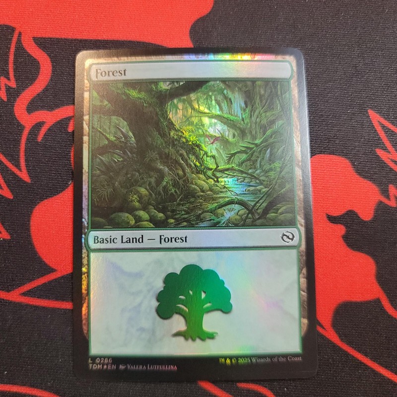Forest (0286) 286 Land Tarkir: Dragonstorm Magic: The Gathering Foil Near Mint