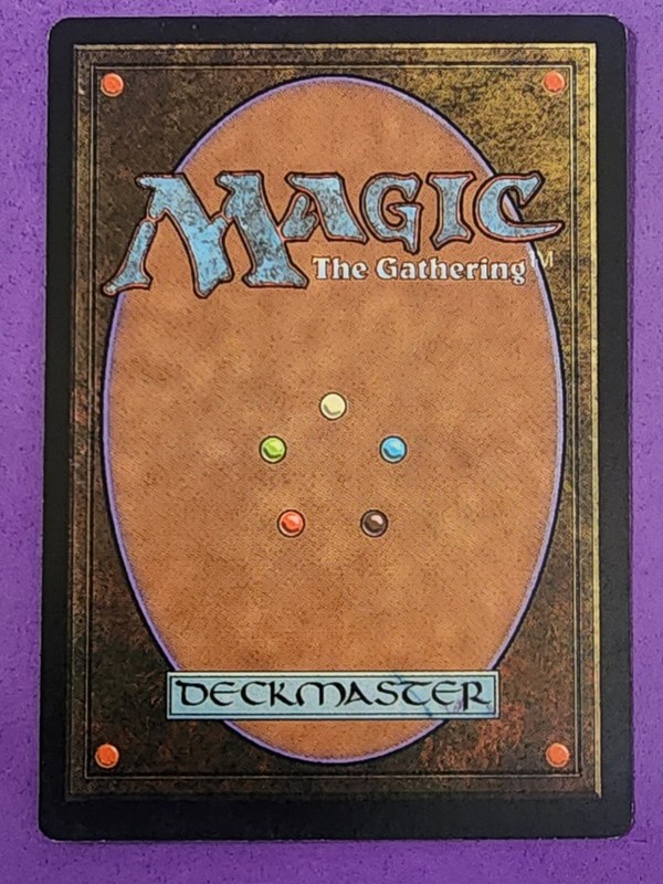 MTG Magic The Gathering - Forest Bear - P3K Portal Three Kingdoms NM gallery