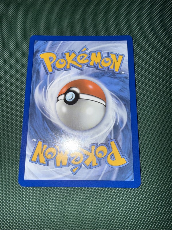 Pokémon TCG Dachsbun EX 169/142 Special Illustration RARE Stellar Crown gallery