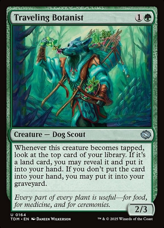 4x Traveling Botanist MTG Tarkir: Dragonstorm NM Magic Regular