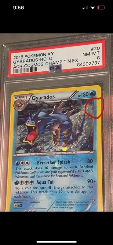 PSA 8 – Gyarados 20/98 XY Promo Cosmos Holo BLEED ERROR – LOW POP