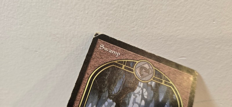 1998 MTG/Magic Basic Swamp English - Unglued (UGL) - See Pictures DMG gallery