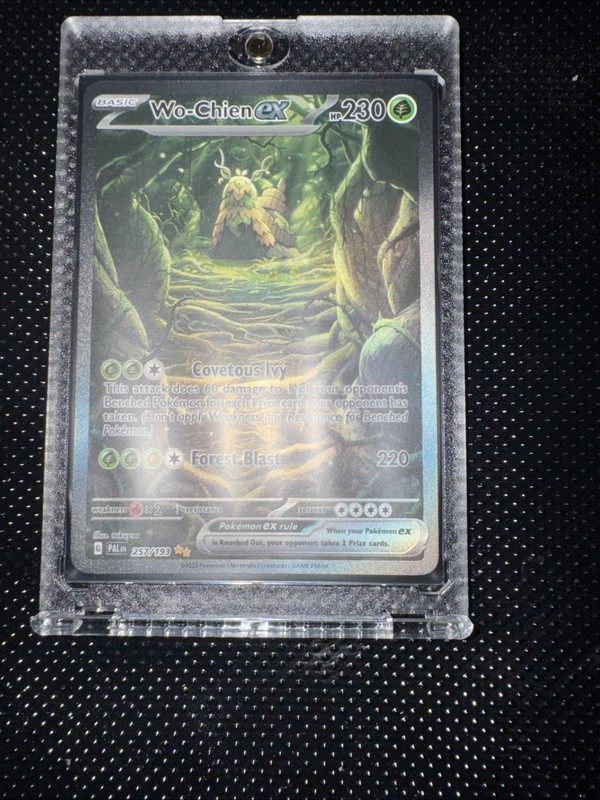 Wo-Chien EX 257/193 Sv02: Paldea Evolved Holo Special Illustration Rare