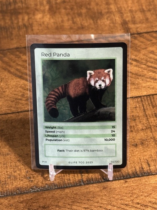 2023 Life TCG Red Panda Holo 1st Edition Mammals
