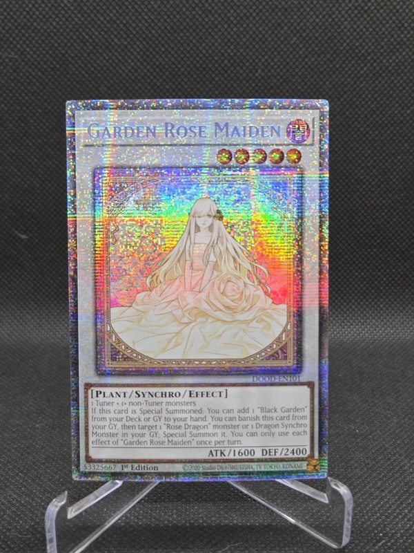 Yu-Gi-Oh Garden Rose Maiden STARLIGHT RARE 1st Ed DOOD-EN101 DOOM OF DIMENSIONS