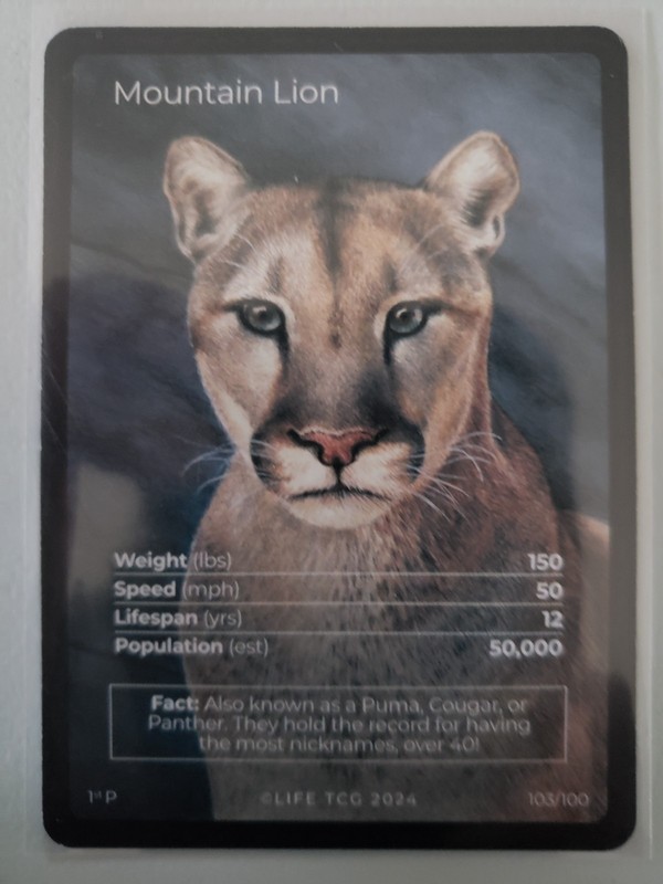 Life TCG 1st Edition 2024 Mammals Promo Mountain Lion Full Art 103/100
