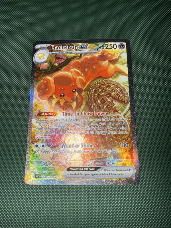 Pokémon TCG Dachsbun EX 169/142 Special Illustration RARE Stellar Crown
