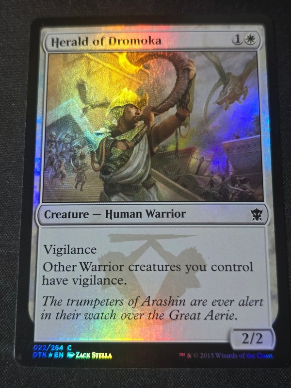 Herald of Dromoka – C DTK Dragons of Tarkir 22 NM