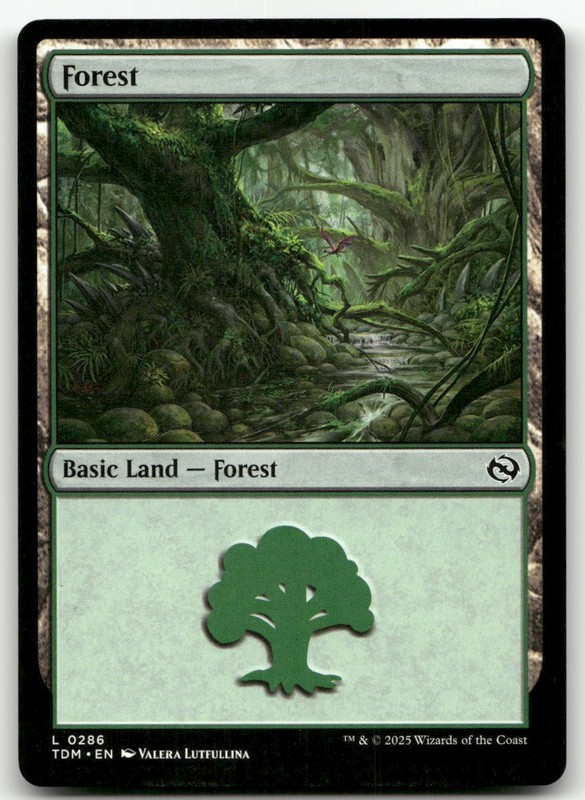 Forest (0286) #286 (NM) Tarkir Dragonstorm TDM Magic MTG