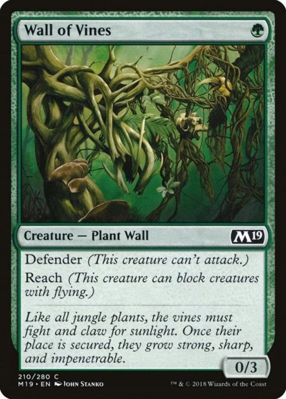 Wall of Vines (210)