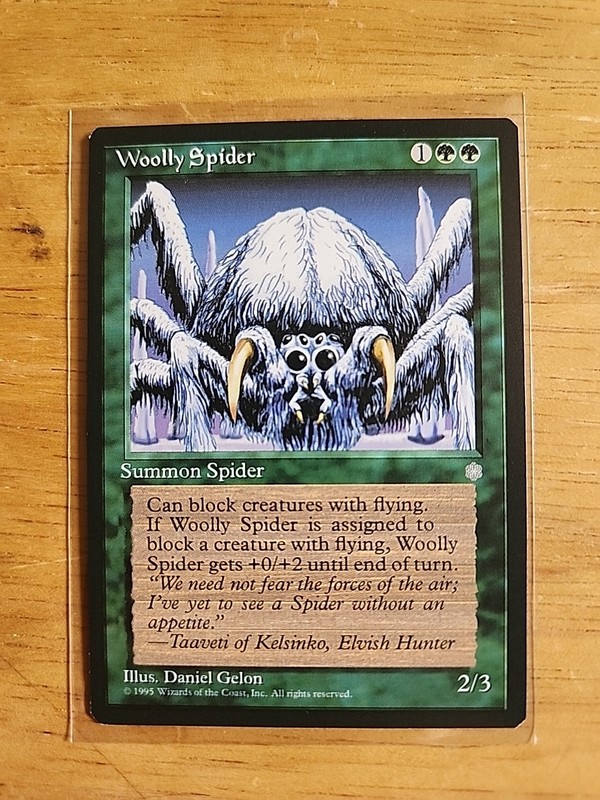 Woolly Spider – Ice Age – MTG Magic – Common – Green Creature