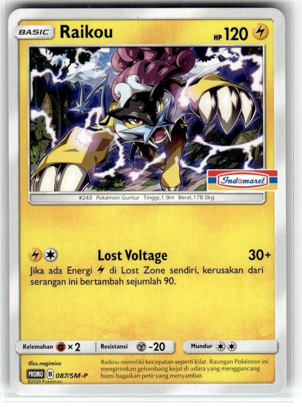 Pokemon 2020 Indonesian Raikou Promo Card 087/SM-P Stamped Indomaret