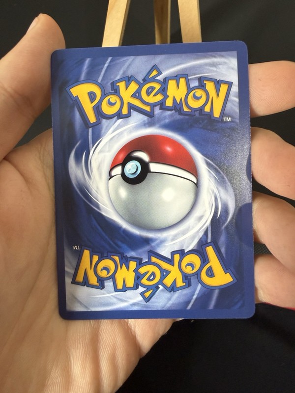 Skitty Litten Chimecho Pokemon Card TCG DISPLAY ART CARD gallery
