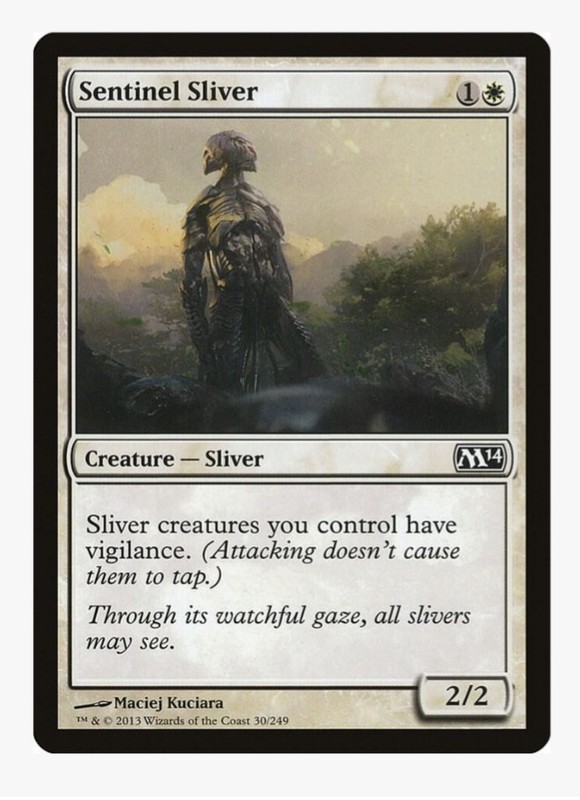 Sentinel Sliver | M14 | Sliver Tribal Staple | MTG Pauper EDH Lord Anthem | NM