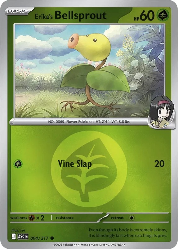 Pokémon Ascended Heroes: Choose Your Card! REVERSE/HOLO/EX NM