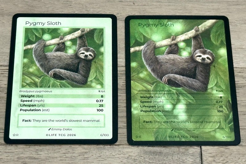🔥 Life TCG Pygmy Sloth Special Edition Extended Art Card #6 & Rare Card #6