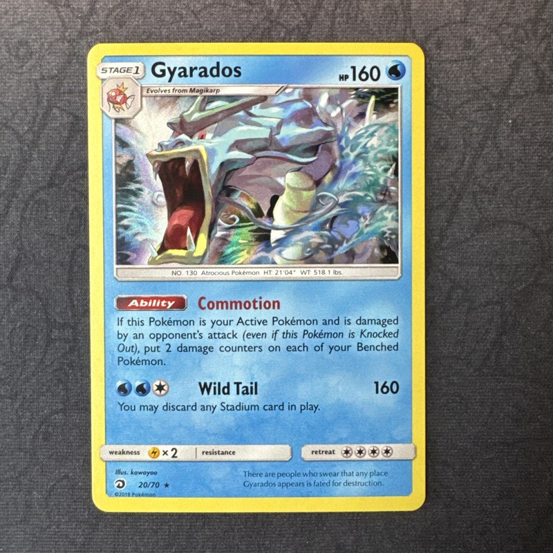Gyarados 20/70 Dragon Majesty Holo Sun & Moon Pokemon MJ