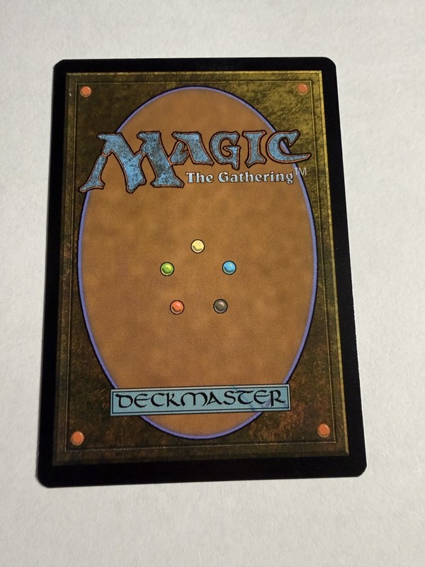 Island (296) - JP Full Art Kamigawa: Neon Dynasty Regular gallery