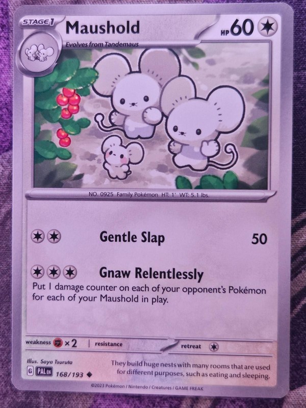 Maushold 168/193 Uncommon Paldea Evolved Pokemon Near Mint