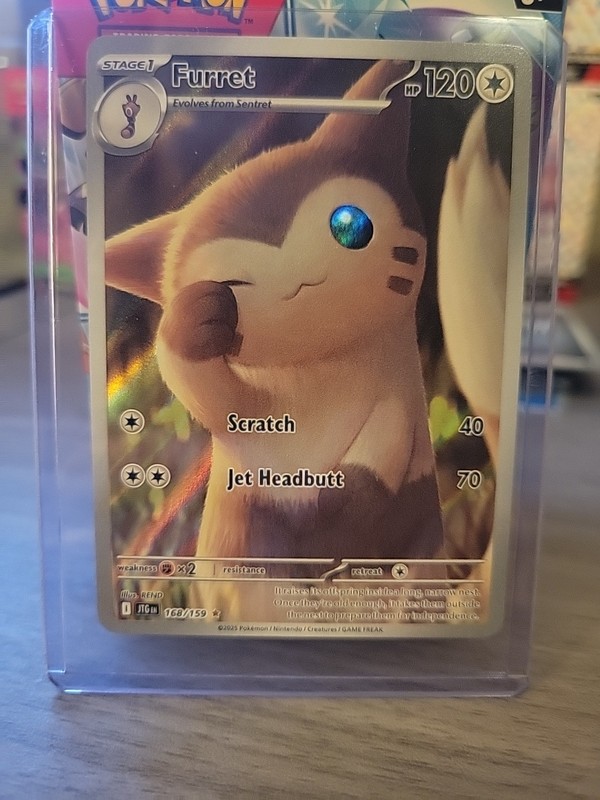 Furret 168/159 Sv09: Journey Together Holo gallery