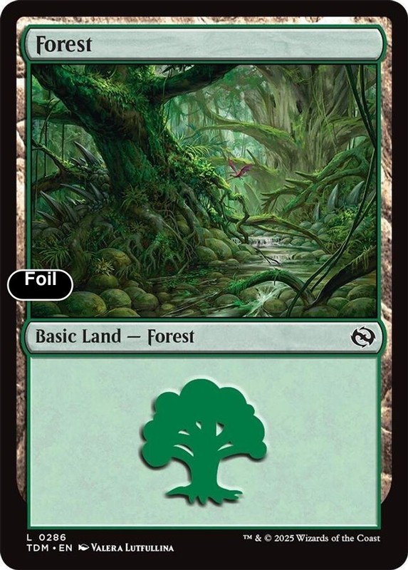 Forest (0286) [Tarkir: Dragonstorm] NM Foil – Magic