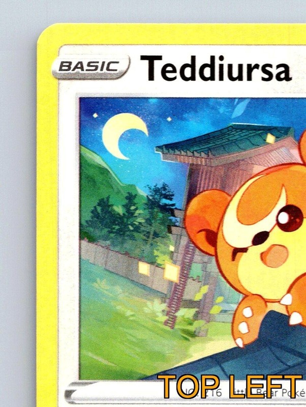 Teddiursa HP 70 Gather Food Attack Little Bear Pokémon gallery