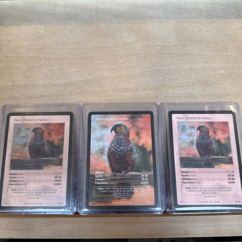 New Zealand Kaka Life Tcg Pop 1/600 Set Of Three(1 Full Art, 1 Holo, 1 Normal)