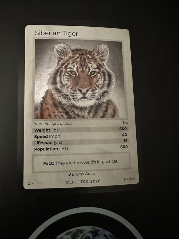 Life TCG Mammals Special addition 2026 – Siberian Tiger Holo – 114
