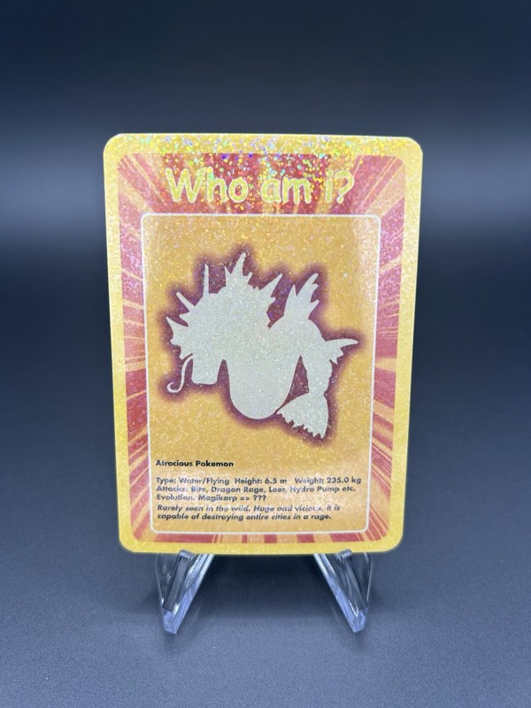 2004 Pokemon Funskool India Gyarados #130 Cracked Ice Holo | Who Am I? | NM