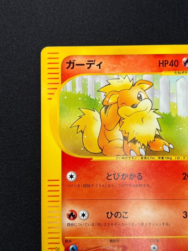 [NM] Growlithe Pokemon Card Japanese 006/048 Web Series MC81 gallery