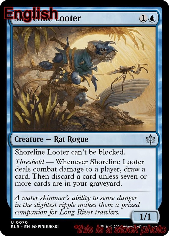 EN – Shoreline Looter – 70 – BLB – NM